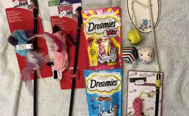 Cat Toys Cat Toys