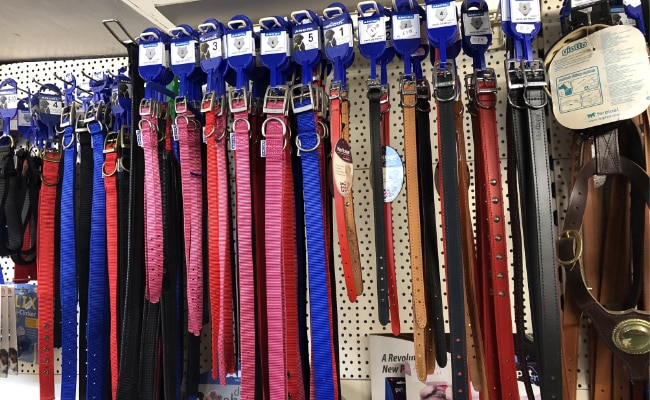 Collars Collars