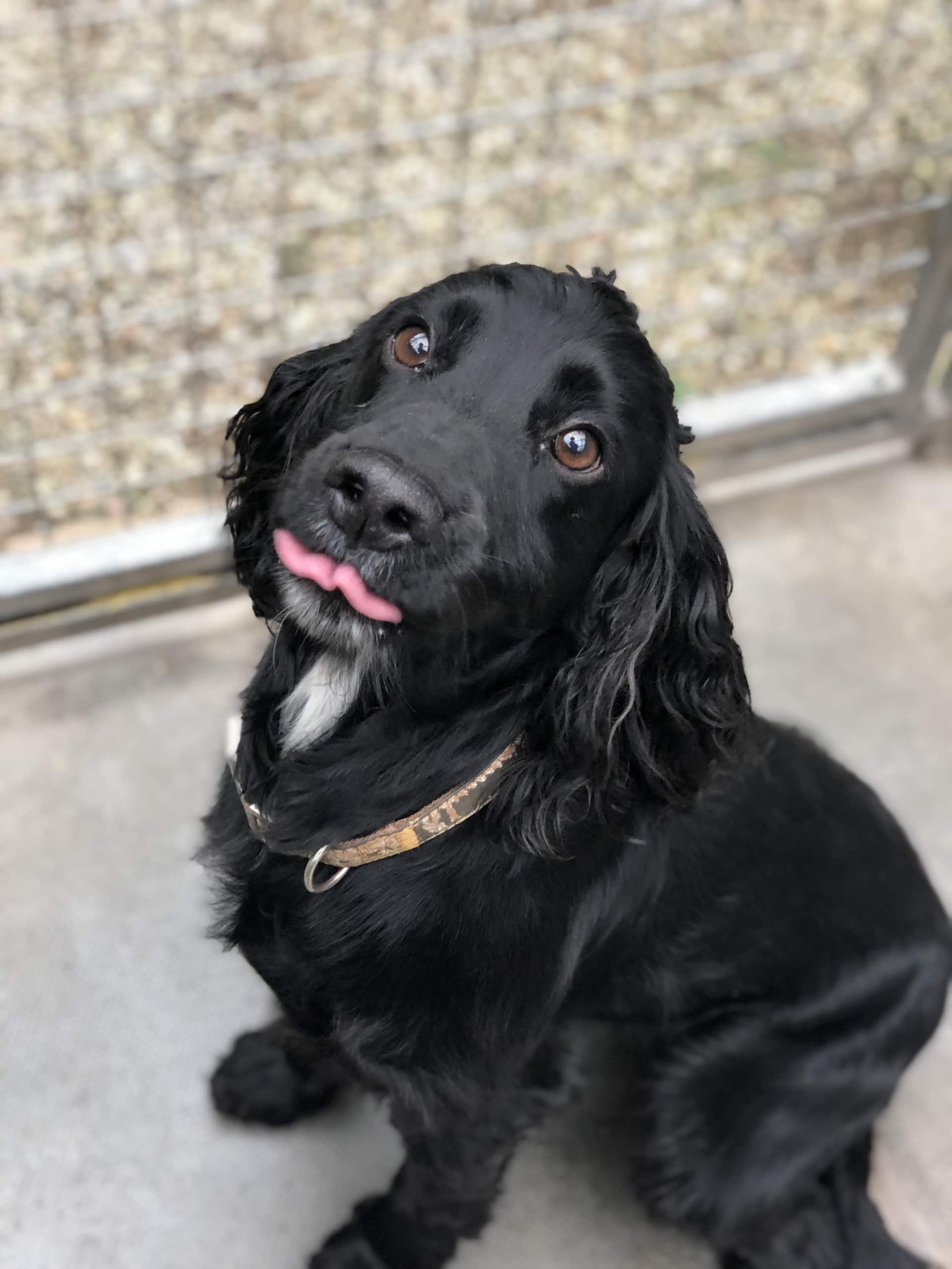 Bertie2 Bertie2