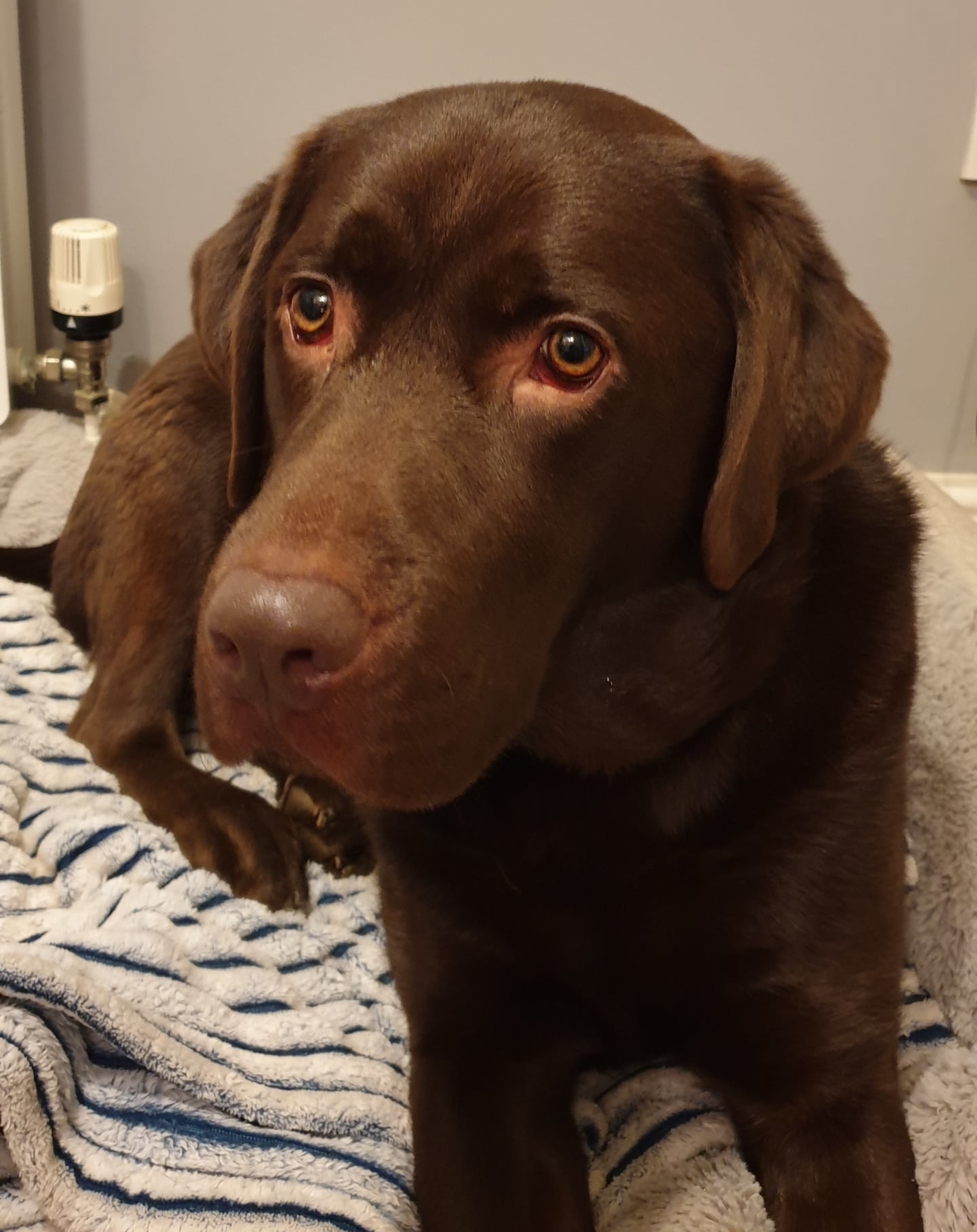 Charlie Charlie