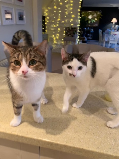 Daisy & madge Daisy & madge