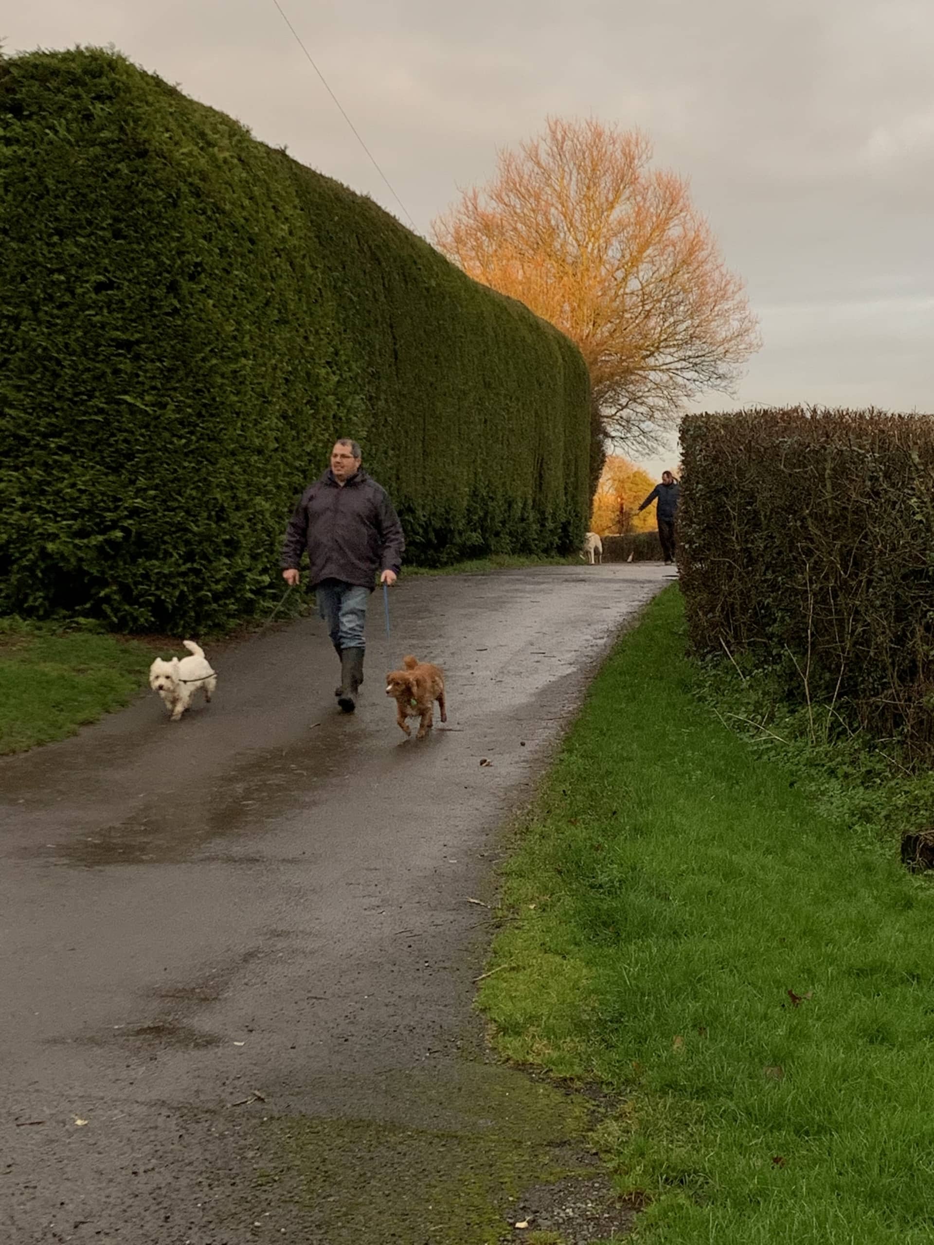 Dogwalk Dogwalk