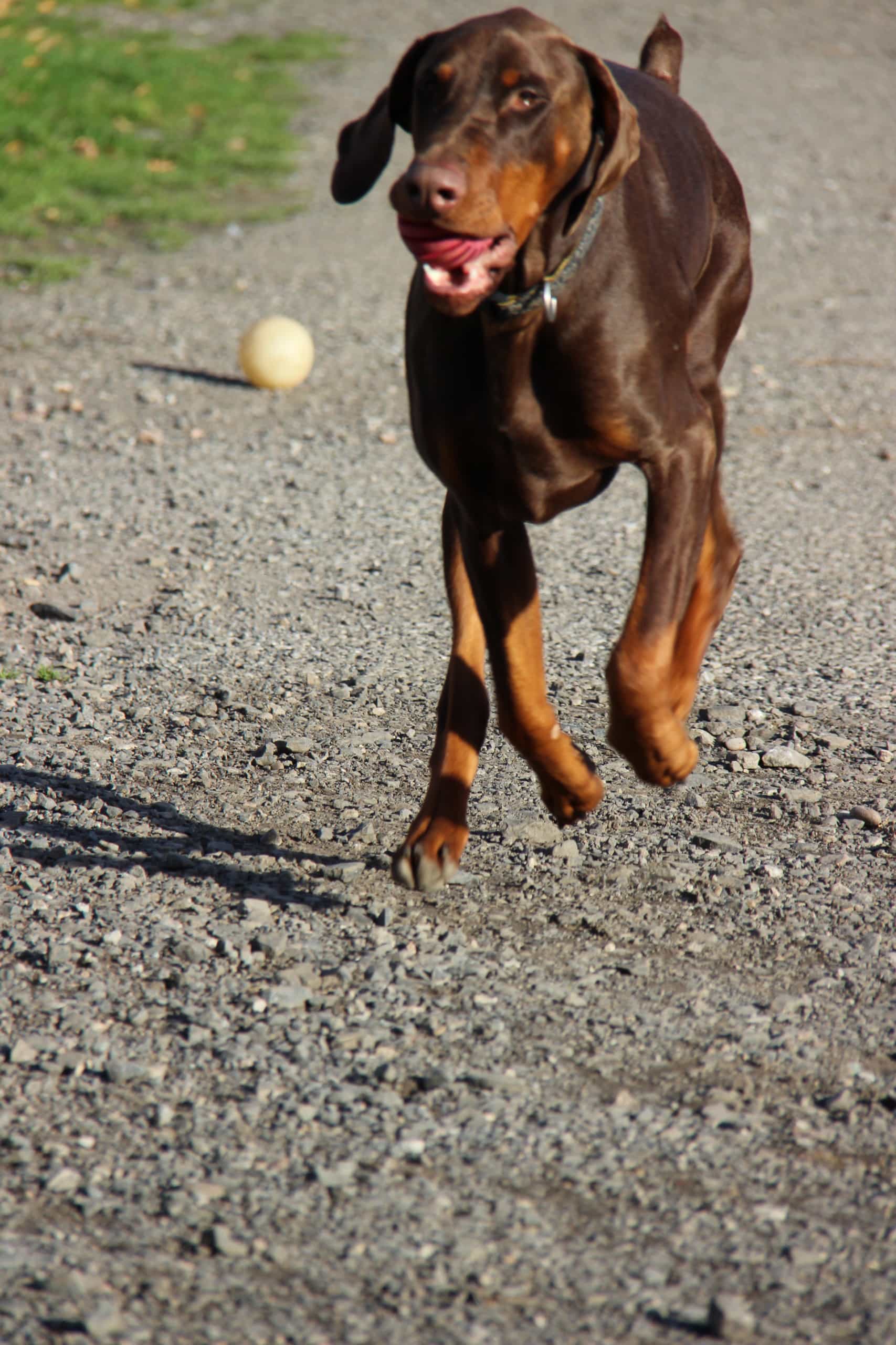 Kai Playing Kai Playing