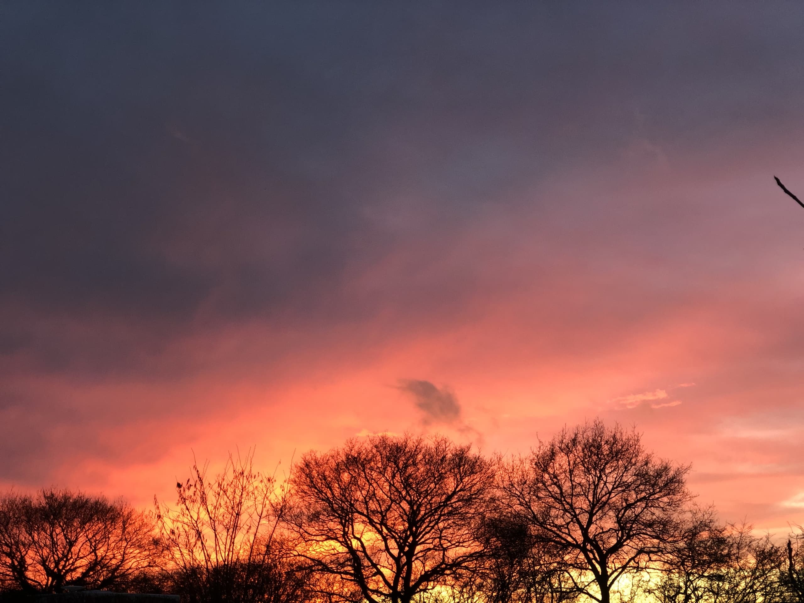 Sunset Sunset