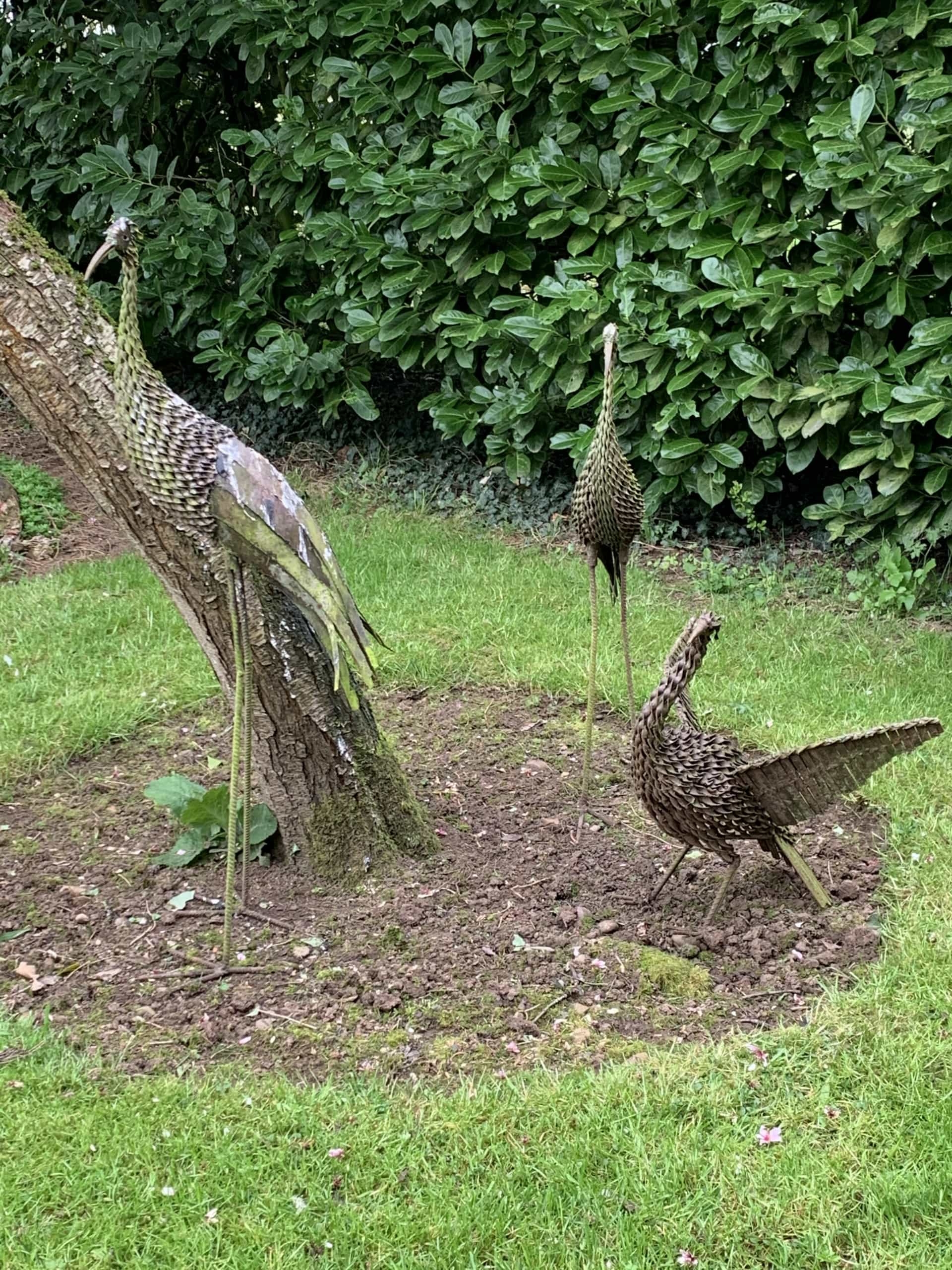 Garden4 Garden4