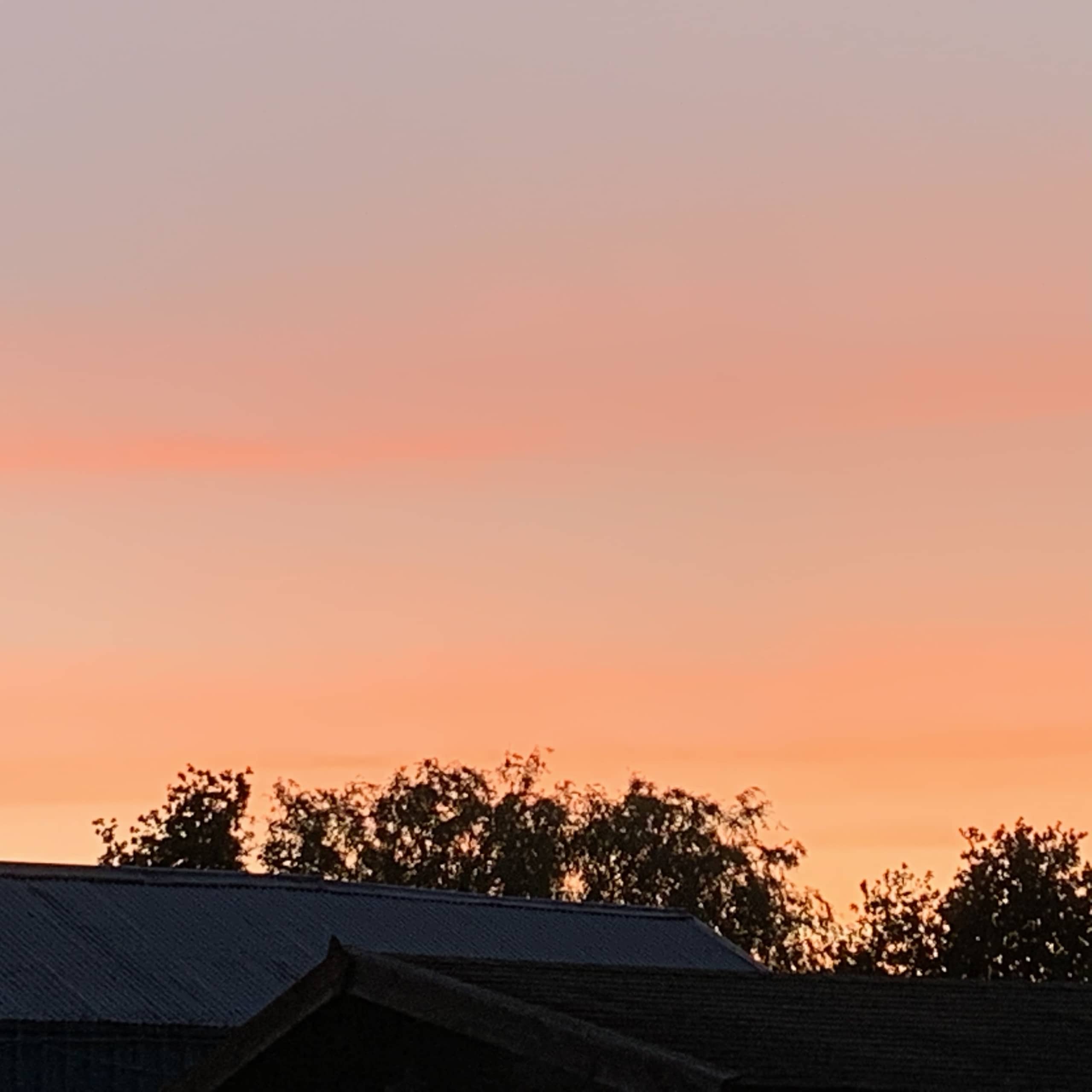 Sunset Sunset